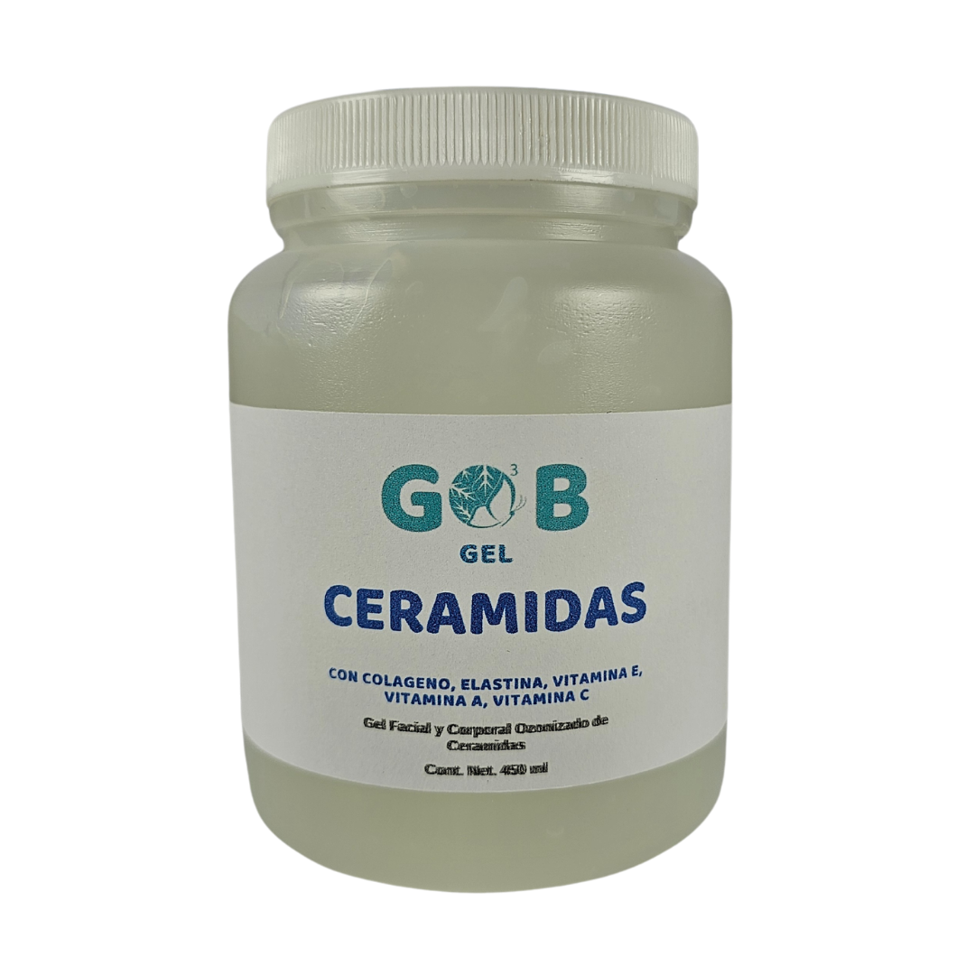Gel Ozonizado de Ceramidas-450ml