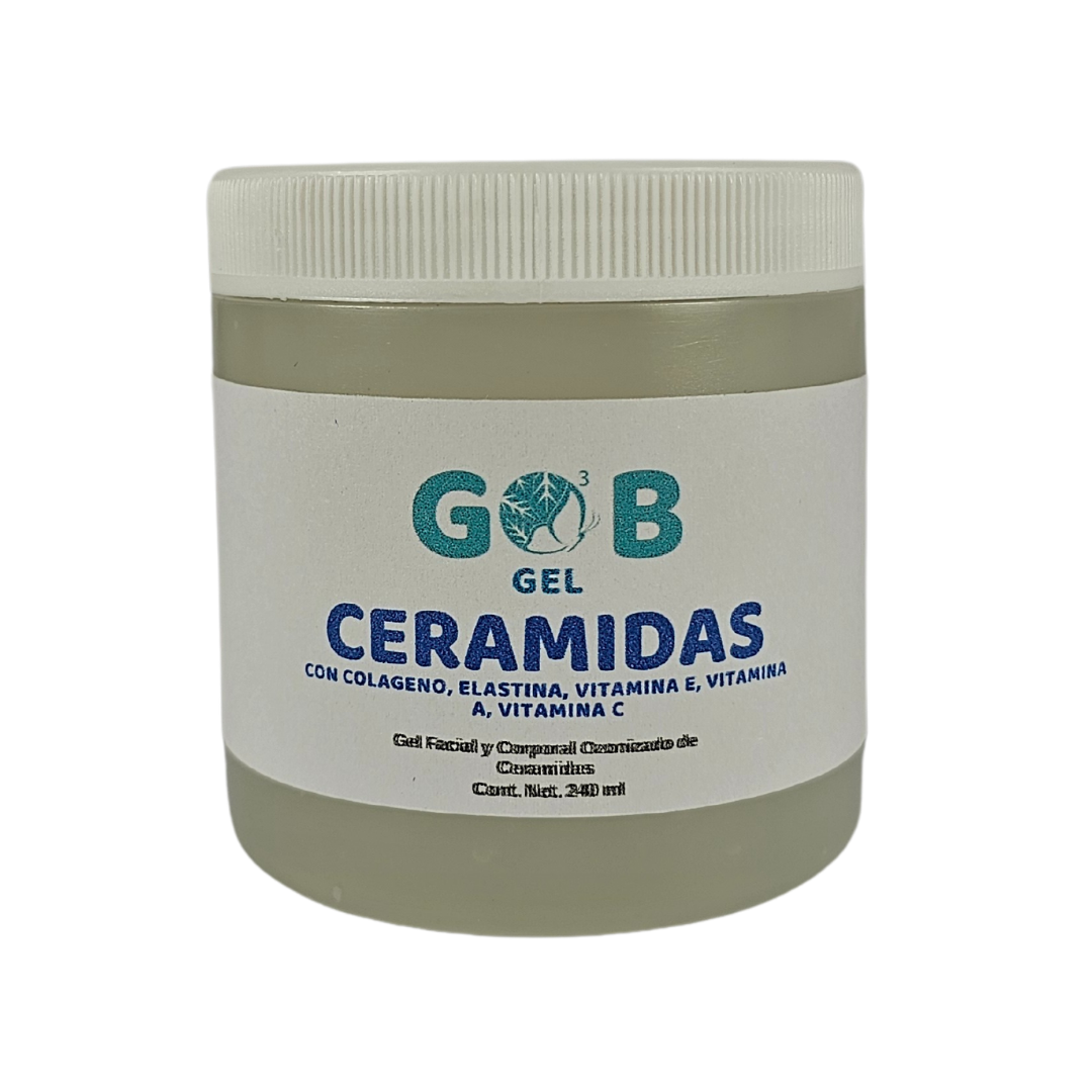 Gel Ozonizado de Ceramidas-240ml