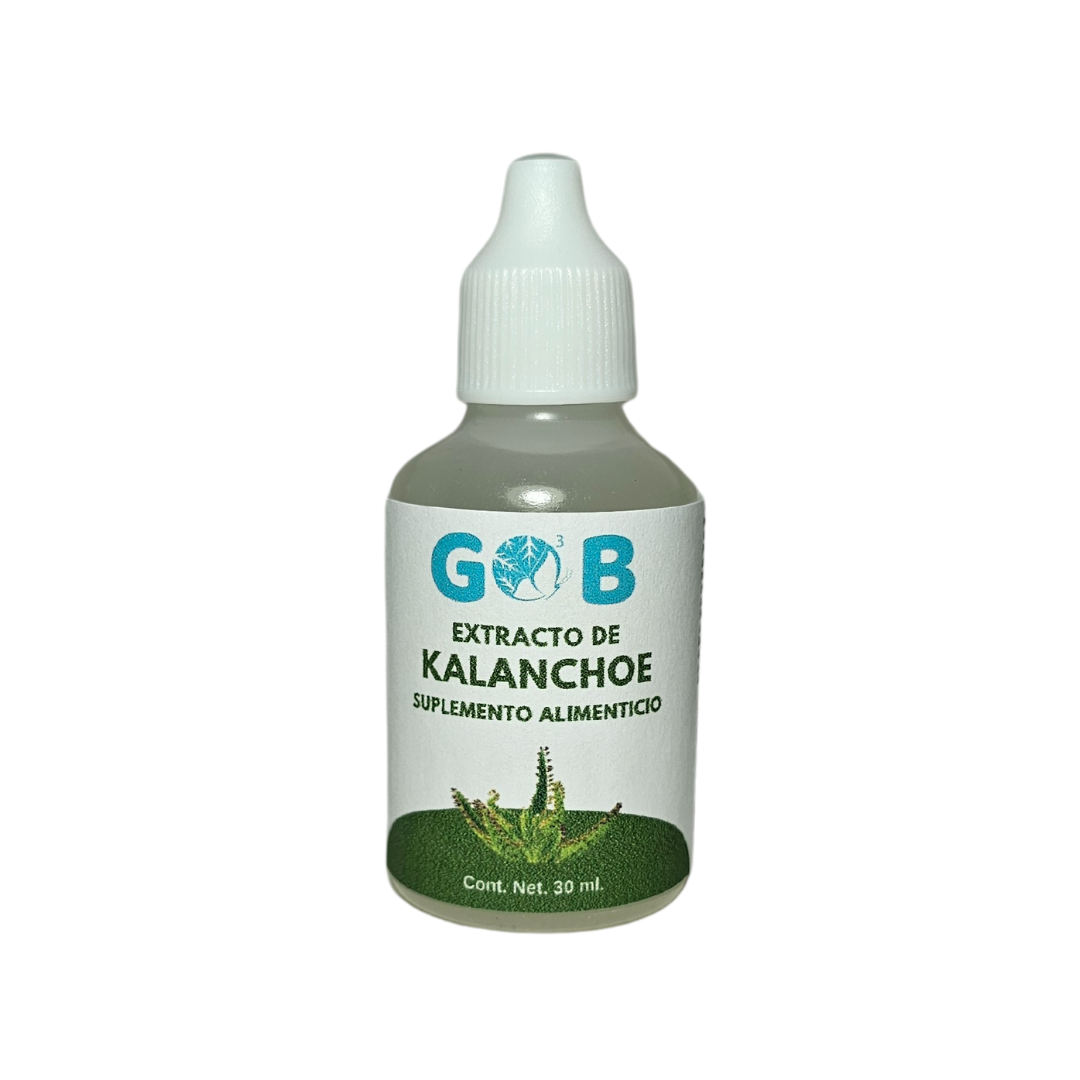 Extracto de Kalanchoe al 20% - 30 mililitros