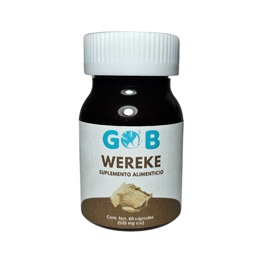 Wereke en polvo - 60 Cápsulas (535 mg por cápsula)