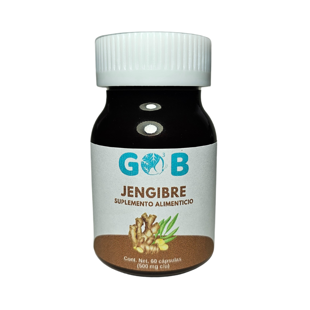 Jengibre en polvo - 60 Cápsulas (500 mg por cápsula)