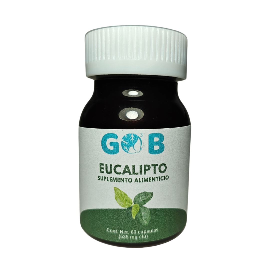 Eucalipto en polvo - 60 Cápsulas (535 mg por cápsula)