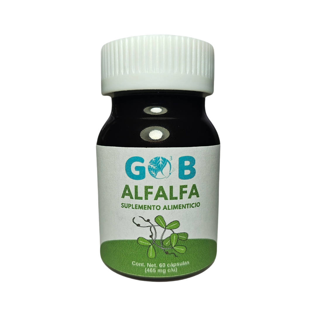 Alfalfa en polvo - 60 Cápsulas (465 mg por cápsula)