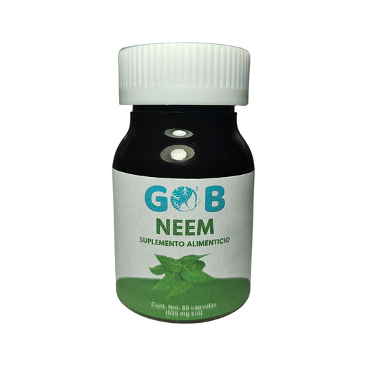 Neem en polvo - 60 Cápsulas (535 mg por cápsula)