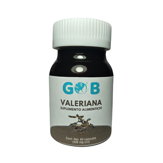 Valeriana en polvo - 60 Cápsulas (435 mg por cápsula)